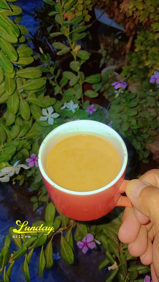 robina_ashraf's tweet photo. بدلتی رُت نے یہ پیغام بھیجا ہے
ہوا نے آج انداز کچھ  بدلا ہے

وہی موسم، وہی خوشبو، وہی رستے
مگر لگتا ہے آج سب کچھ نیانیا ہے

سو اے دل! تُو بھی رُت کے ساتھ چلنا
کہ "بدلنا" زندگی کا اک حسیں سلسلہ ہے https://t.co/wMaqTOGYgu