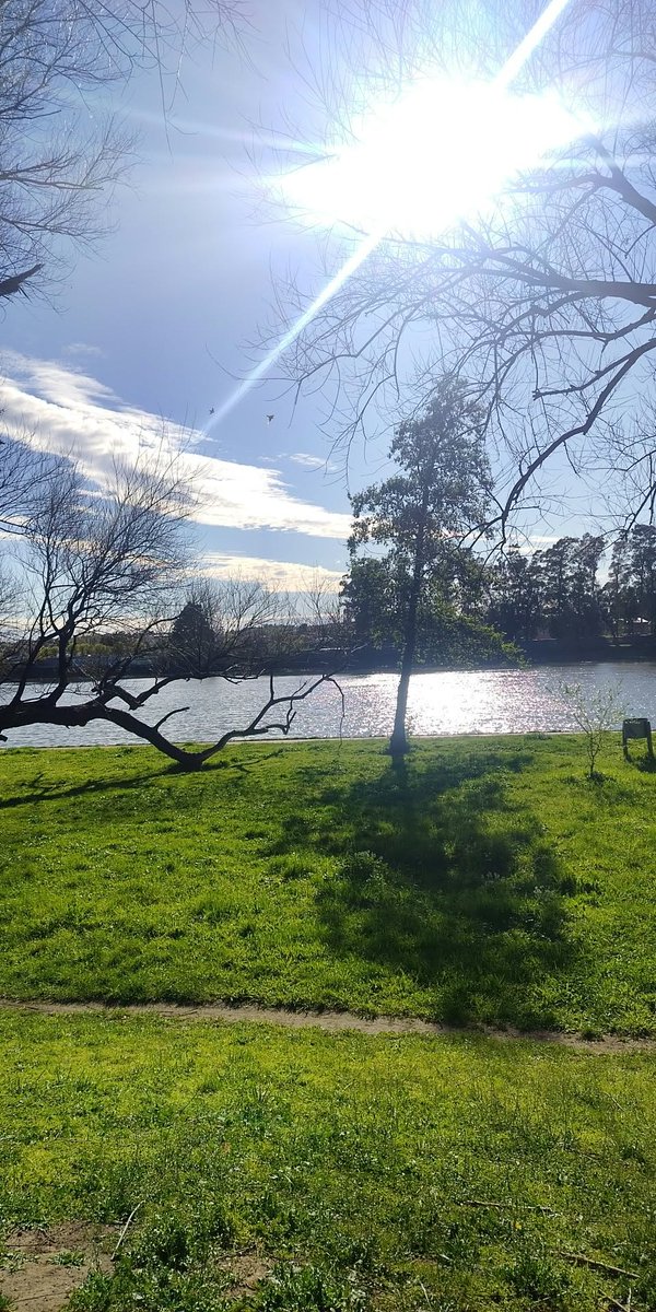 DeboraMelillan's tweet photo. Mi manera de disfrutar la vida. 
Que siempre sea la libertad de hacer lo que quiero, cuando quiero y como quiero. 

✨🌻😎❤ https://t.co/z9GswWNYQH