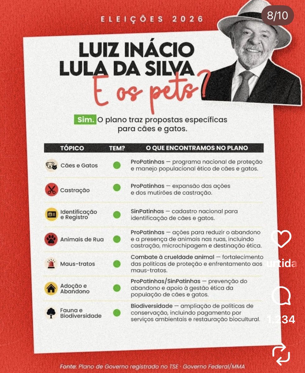 giovannaqzz9's tweet photo. se vc não vota pelos direitos humanos ve se vota pelo direito dos bichinhos então :) https://t.co/o0JsdBBtzm