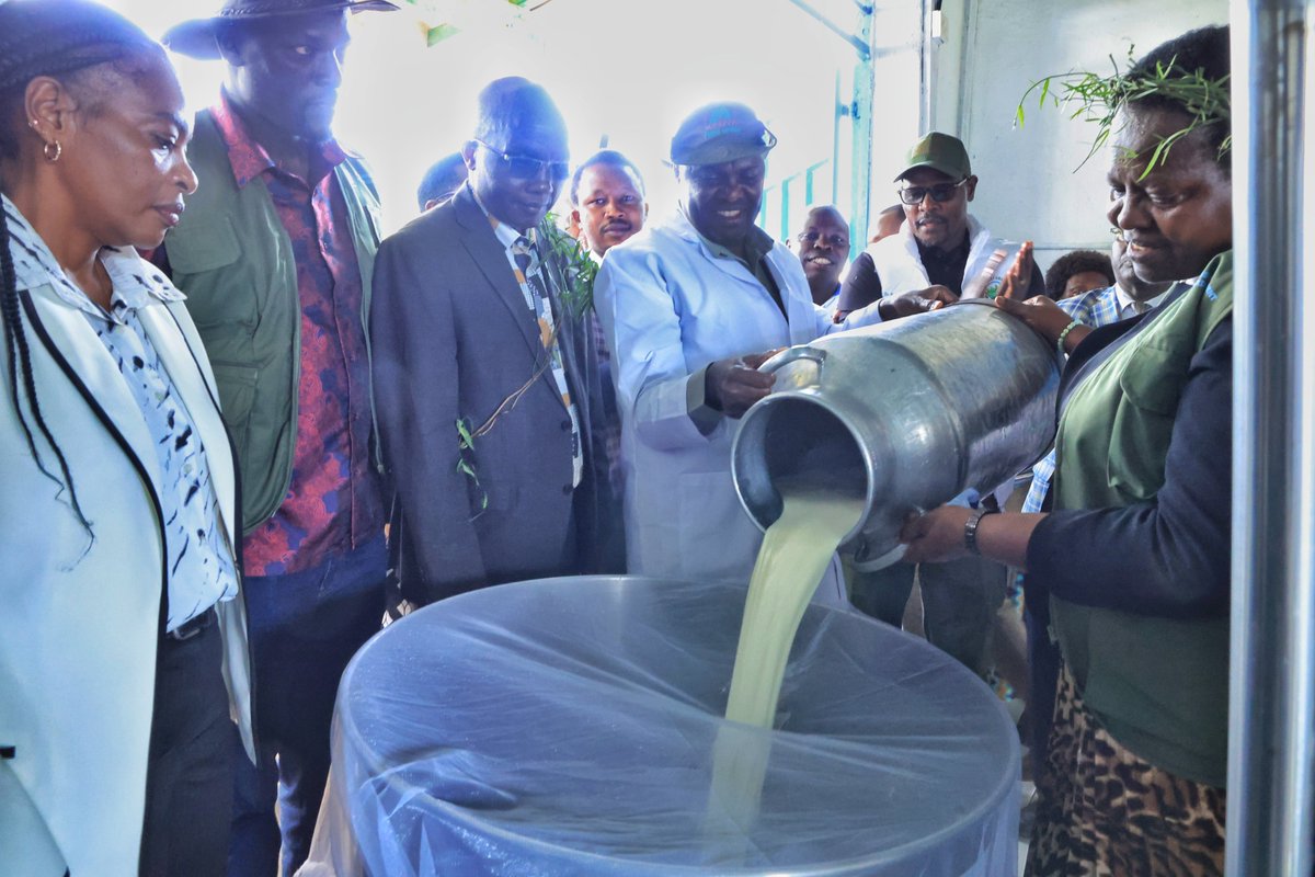 koske_felix's tweet photo. In Bararget, Kuresoi South, inspected and commissioned a new 2,000-litre milk cooling plant at Milikwen Farmers Cooperative Society supported by the Mau Forest Complex Integrated Conservation and Livelihood Improvement Programme.

The investment is already transforming livelihoods, with the plant enabling chilling and consolidation of milk locally, cutting transport and electricity costs and drastically reducing losses. This efficiency has restored farmer confidence and enabled the cooperative to raise farm-gate prices twice this year from KSh 47 to KSh 50 and now KSh 53. It is a remarkable grassroots story - started with just 7 members in 2023 and registered in 2024, the Society now has 496 members collecting about 1,600 litres daily, with volumes set to rise sharply with the new cooler.

This dairy initiative and others are at the heart of the MFC-ICLIP agenda of "Linda Mau, Boresha Maisha." The 10-year Programme seeks to restore 33,138 hectares of degraded forest by tackling the drivers of destruction - illegal logging, charcoal burning and encroachment - through sustainable alternative livelihoods. By making dairy profitable via green value chains, we are giving forest-adjacent communities a viable reason to protect, not exploit, the Mau Complex.