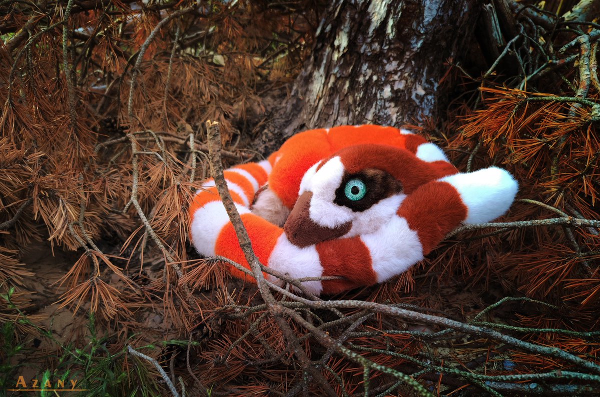 Azany_artist's tweet photo. ✨Meet Bisky the Sinosauropteryx! ✨
A handmade 1-meter-long plush toy I made using plush and faux fur. So fluffy and soft! https://t.co/xqofZbOv6q
