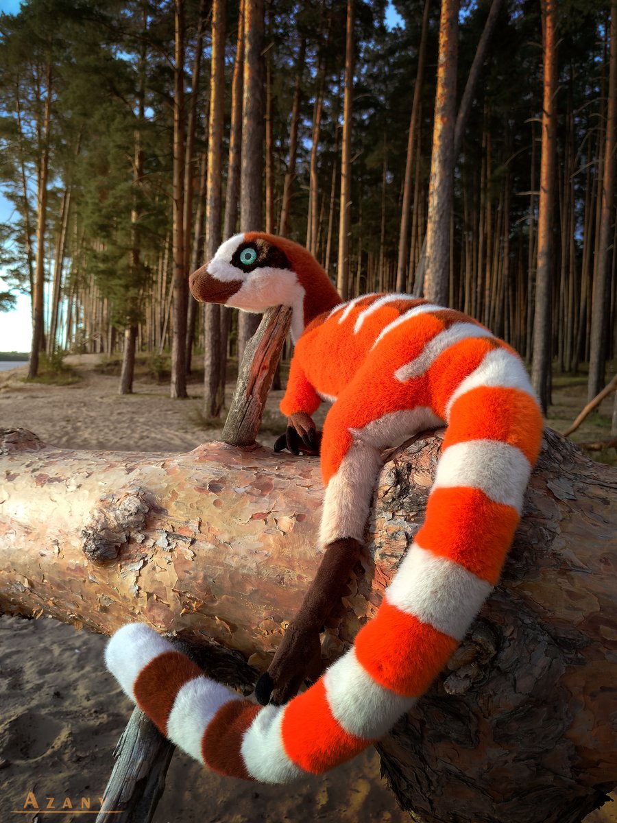 Azany_artist's tweet photo. ✨Meet Bisky the Sinosauropteryx! ✨
A handmade 1-meter-long plush toy I made using plush and faux fur. So fluffy and soft! https://t.co/xqofZbOv6q