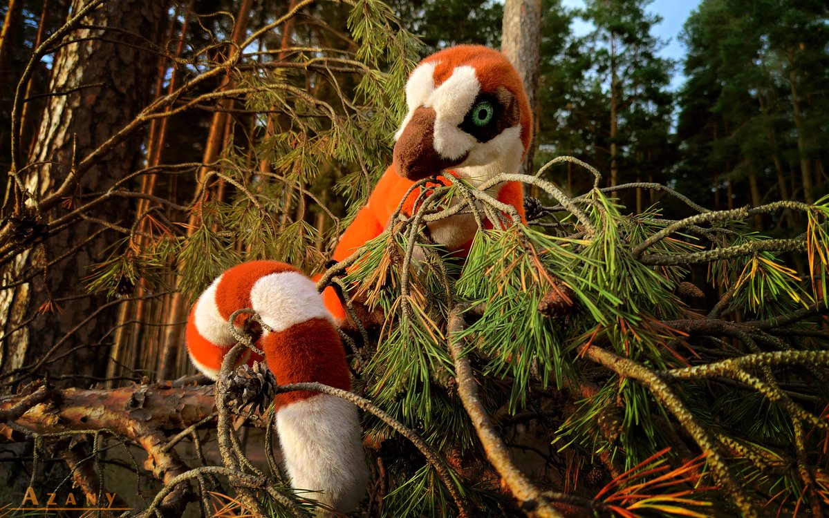 Azany_artist's tweet photo. ✨Meet Bisky the Sinosauropteryx! ✨
A handmade 1-meter-long plush toy I made using plush and faux fur. So fluffy and soft! https://t.co/xqofZbOv6q
