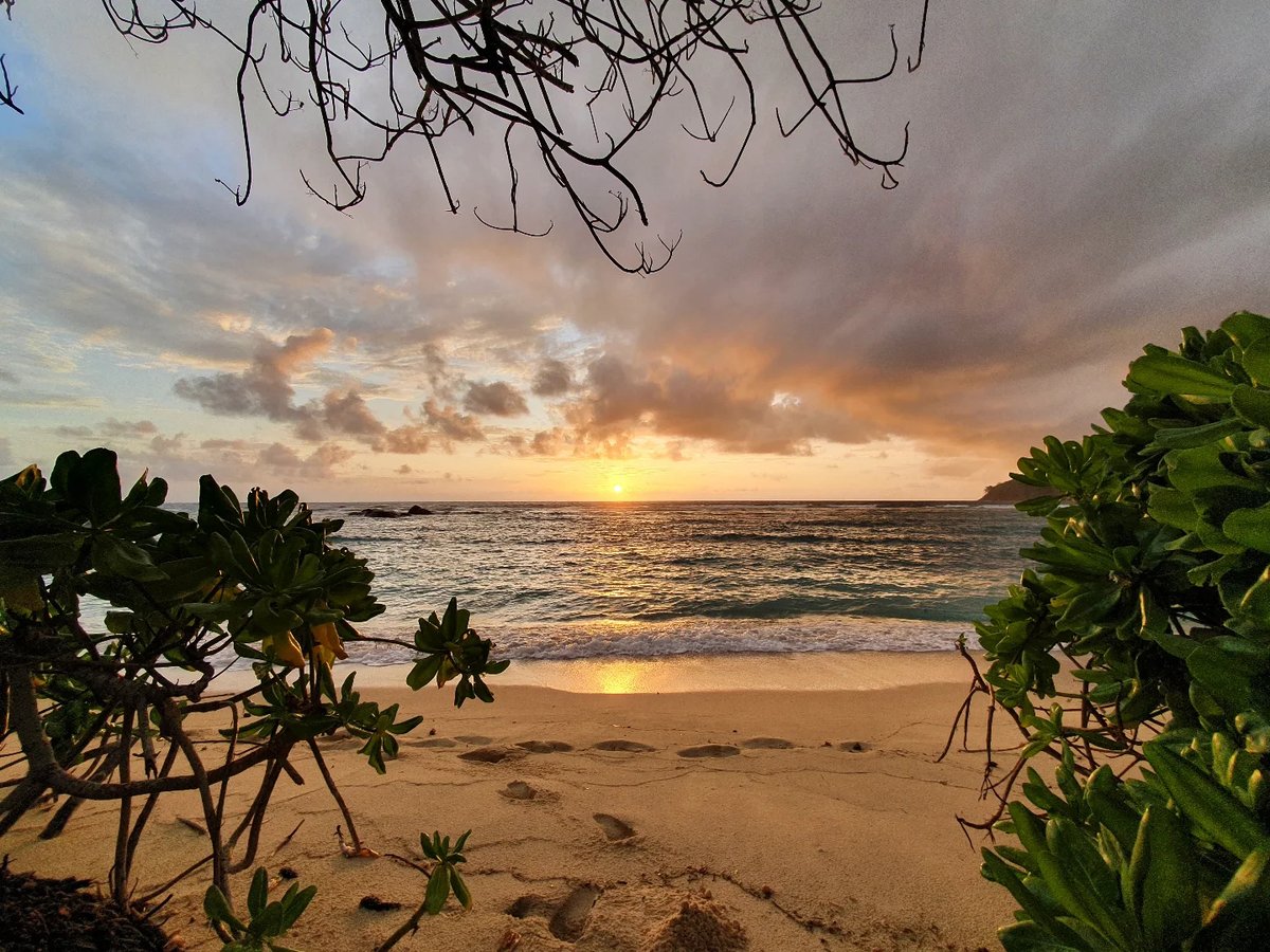 Eu_To_Indicando's tweet photo. #sunset #seychelles #sunrise #bestvacations #cloudsofinstagram https://t.co/s8E40LP797