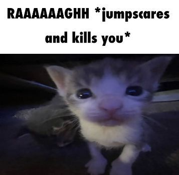 CatBlep's tweet photo. https://t.co/aMjydRLpYI
