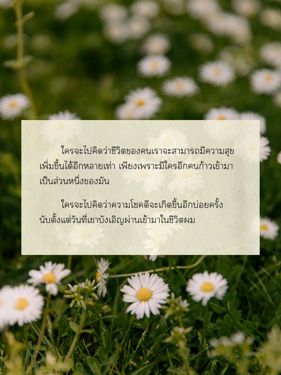 tmmoon96's tweet photo. ขออนุญาตฝากแนว Slice of life, Feel good (จบแล้ว อ่านฟรี) ไว้ในอ้อมใจสักเรื่องนะคะ รับรองว่าอบอุ่น ฮีลใจได้แน่นอนค่ะ ⋆˙⟡
☆ : https://t.co/aqY1DZQxkC

🌷 ชีวิตประจำวันธรรมดา แต่น่ารักเป็นพิเศษของหลานชายร้านขายพวงมาลัยดอกไม้สดและหนุ่มนักเขียนสุดหล่อ 🍃

 #แนะนำนิยายวาย #นิยายวาย https://t.co/j52qlut5cC