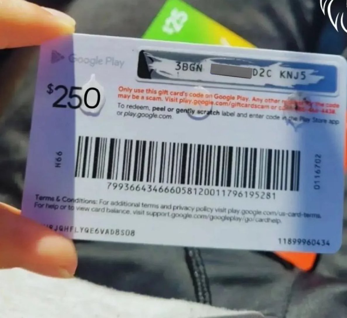 anthon77_'s tweet photo. How much for your pics and videos? 
I got $250 steam card https://t.co/TQJUEX2aSM