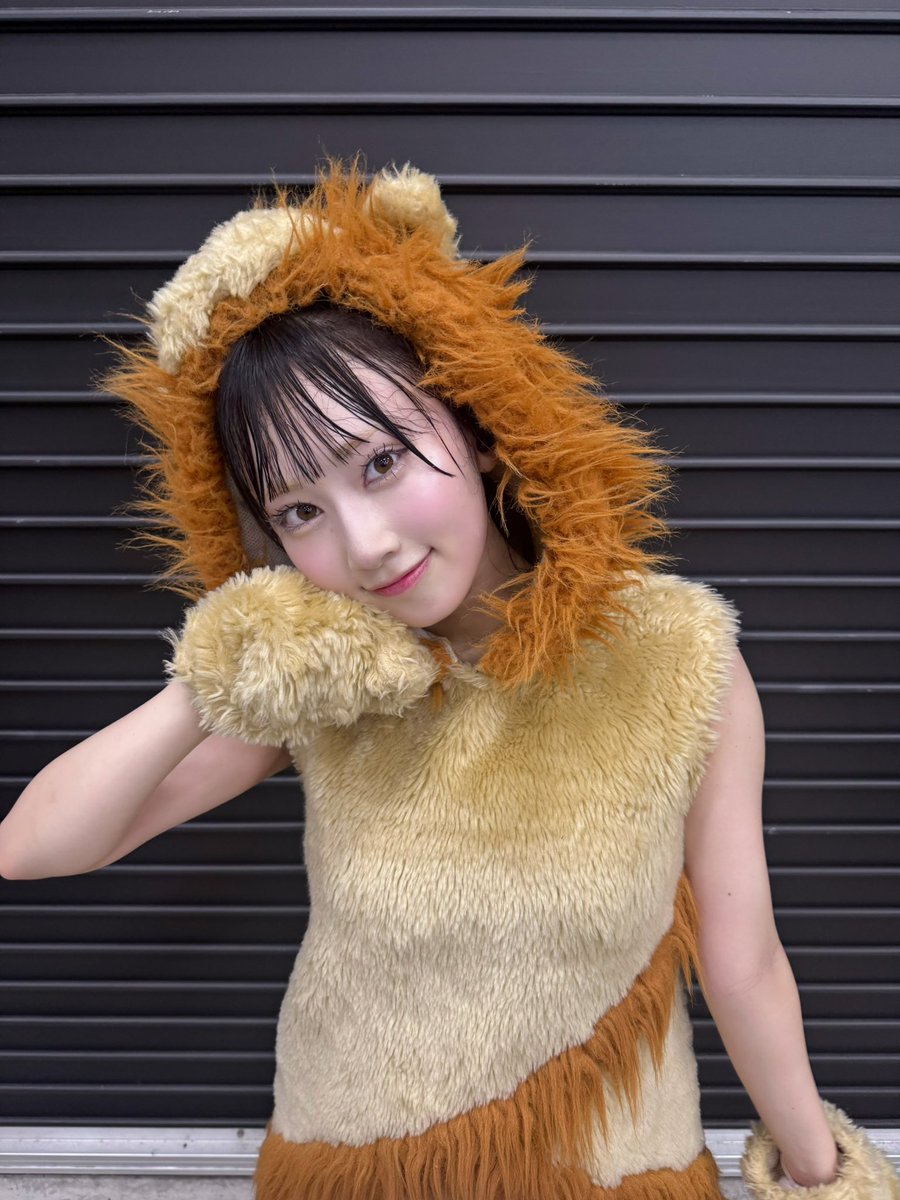 48_RemiTokunaga's tweet photo. 学生になれたり、ライオンになれたり、幼稚園の先生になれたり、いろんな姿に変身できるAKB48最高すぎる❣️
そして、オサレカンパニーさんの衣装も大天才すぎます❣️
 #AKBサンコンコン https://t.co/2ldeTsOSVA
