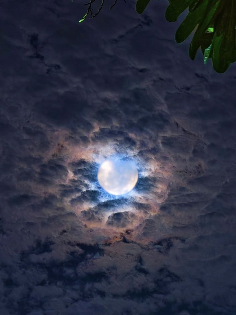 Acepdstpf's tweet photo. 🌝

. #fullmoon https://t.co/E9P7GtamRU