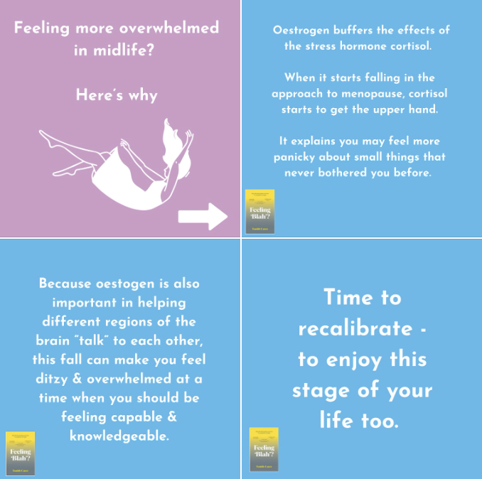 TanithCarey's tweet photo. Are you a midlife woman who feels stressed by stuff that NEVER used to bother you? 

THIS may help explain why

#menopause #womenshealth #health #healthyhabits #mentalhealth https://t.co/EkLLiXsEqM