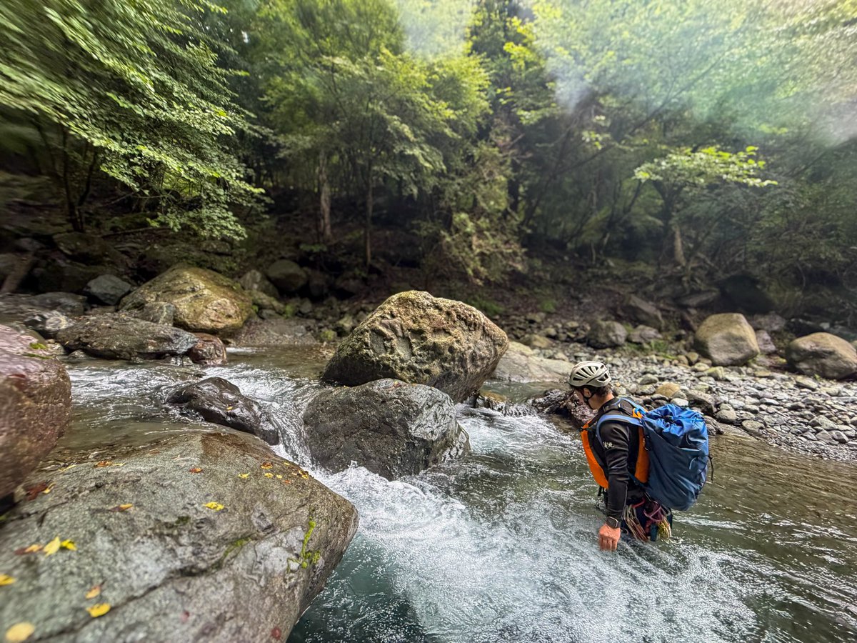y_trd's tweet photo. 丹沢
インセンドショーツ9
AR-395a、アルファFL40

#arcteryx #アークテリクス https://t.co/9fjOdKkCsi