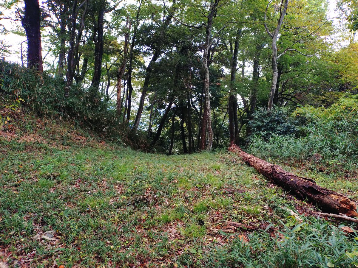 rhsnw6's tweet photo. 昨日は虎御前山城と小谷城へ！
まずは虎御前山へ。古墳を利用した縄張り！
ガイドさんのお話も面白かった！「信長公記の現代語訳ポケット版は超便利、ガイドには欠かせません！」😙 https://t.co/UNTimgCUtq