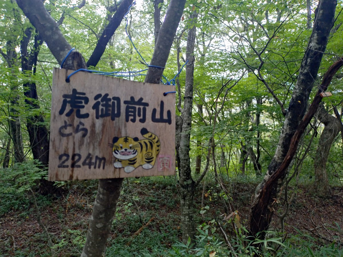 rhsnw6's tweet photo. 昨日は虎御前山城と小谷城へ！
まずは虎御前山へ。古墳を利用した縄張り！
ガイドさんのお話も面白かった！「信長公記の現代語訳ポケット版は超便利、ガイドには欠かせません！」😙 https://t.co/UNTimgCUtq