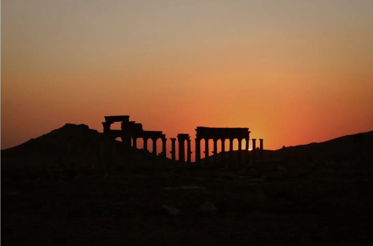 Siran_team's tweet photo. #Palmyra at sunset where history stands timeless beyond the reach of time 🏛️🐫
#AncientHistory #Archaeology #Syria https://t.co/DOMZV1JzcK