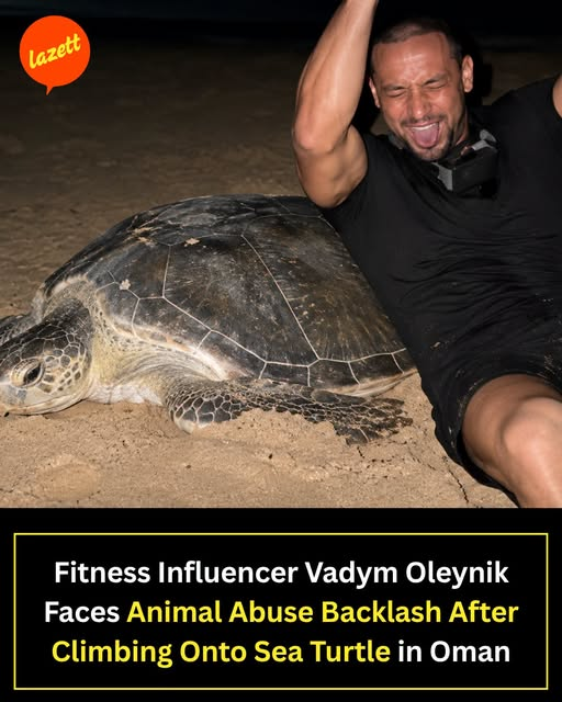 tiger26931's tweet photo. Ukrainian fitness influencer Vadym Oleynik is facing widespread criticism after viral footage from Oman appeared to show him disturbing sea turtles while posing for the camera.
 Separate footage shows him holding a tiny turtle hatchling in his hand while smiling for photographs. https://t.co/snHVUmkHD5