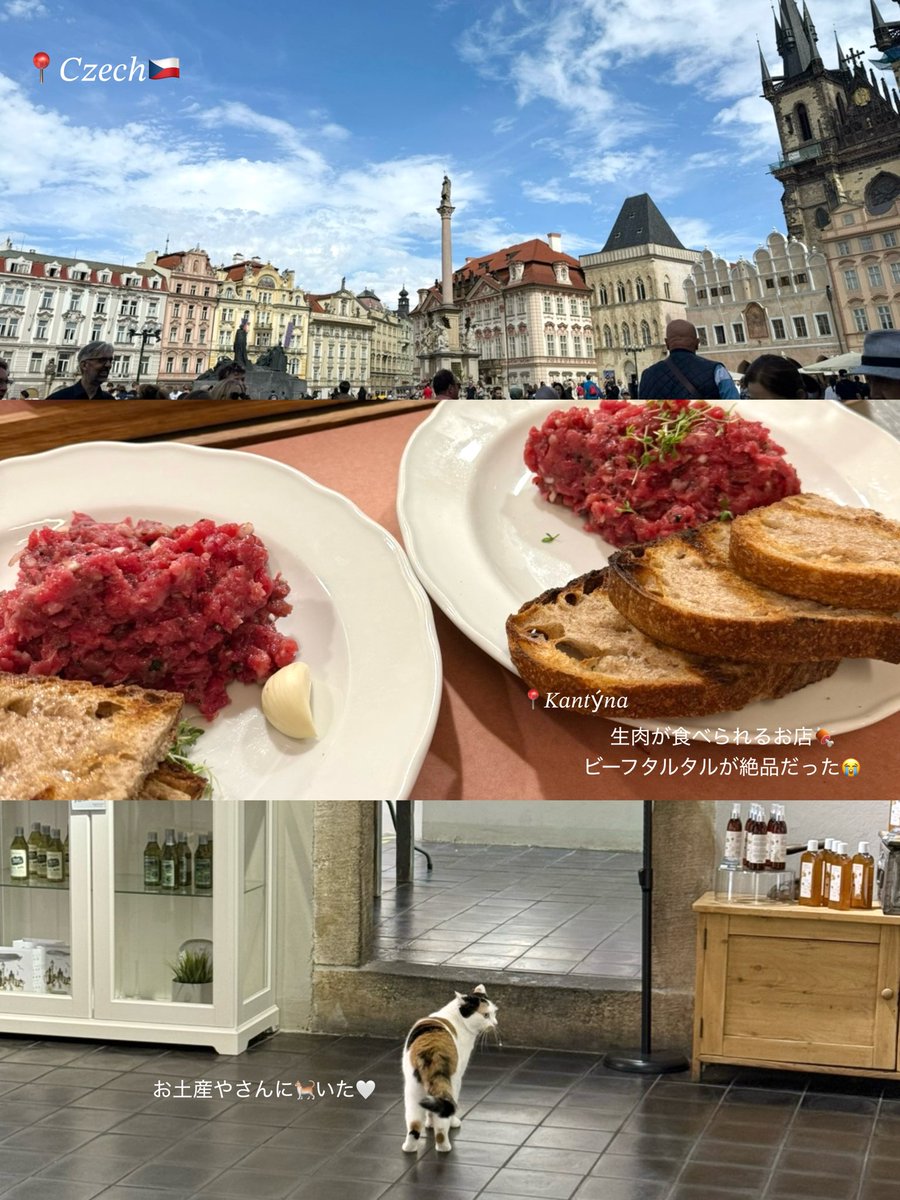 tig_xo_'s tweet photo. ヨーロッパ旅行2⃣✈️🤍

📍Czech Republic / Prague🇨🇿

半日だけ＆お肉目的で行ったから観光地あまり行かなかった🥺
写真はないけどミュシャ美術館もちら見できたよ│  ̂⩊፟ ̂𐅀♡ https://t.co/DOSie3gdd7