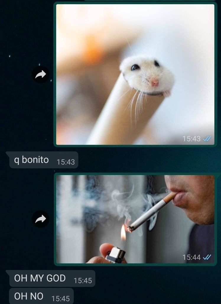 5gramasdememes's tweet photo. ✨ https://t.co/kSz2wAvG4q