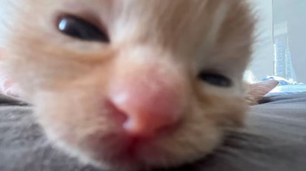 culKitten's tweet photo. https://t.co/IaHTZi3sTO