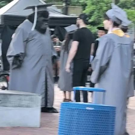 Eddhq's tweet photo. @delaurentiis_br @ducr1234 @JamesGunn Isso porque ainda não estreou a série do Jimmy Olsen com o Gorila Grodd recém graduado https://t.co/uTizPvFvvY