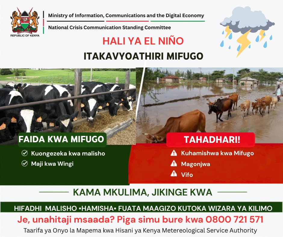 Devolution_KE's tweet photo. The upcoming El-nino rains can mean more pasture &amp; water, but also flooding, displacement &amp; disease. 

Protect your livestock. Prepare early. Stay informed.

#ElNinoKE #DevolutionKE https://t.co/k4vJ4Y5Sxi
