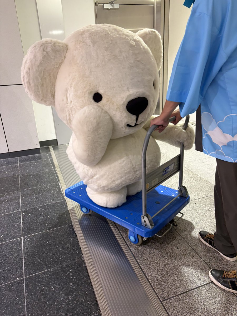 sappypierrot's tweet photo. 疲れたからベア・ドゥという名の点滴• ᴥ •
そういえば羽田の空の日は全部近場からの登場だったからベア・ドゥ号(台車)の移動シーンはなかったなあ
自分のお名前みんなに覚えてもらえるように主張してるのほんと愛おしいよね〜 https://t.co/8C7pgXW4Wj