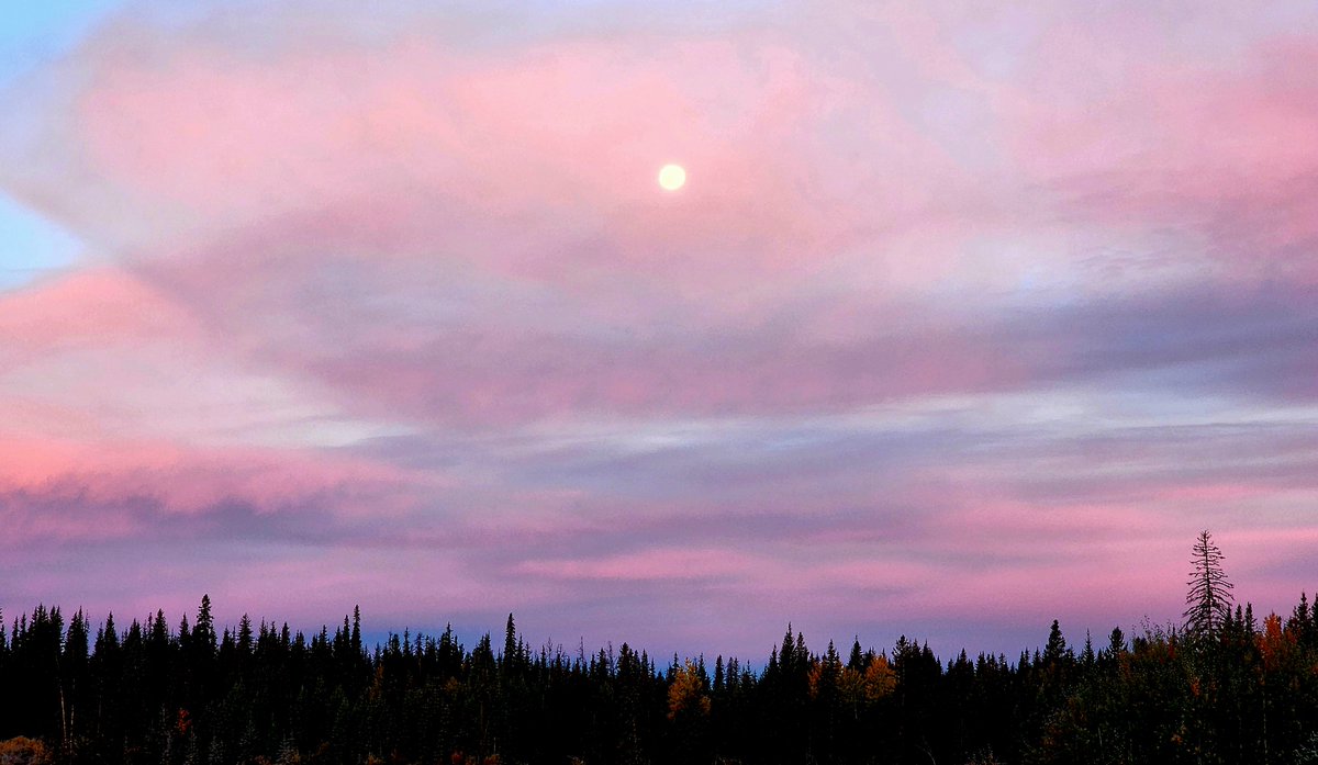 Dave37530840210's tweet photo. blush of a falling sky https://t.co/11vf0VaOZs