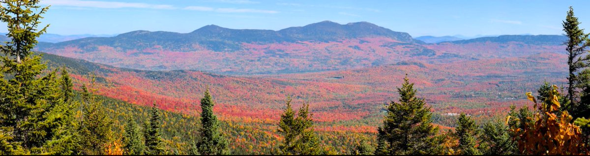 notThatAlxJones's tweet photo. @ExploreFall Can confirm, Bigelow was on fire Saturday! https://t.co/ja7q9Jcba2