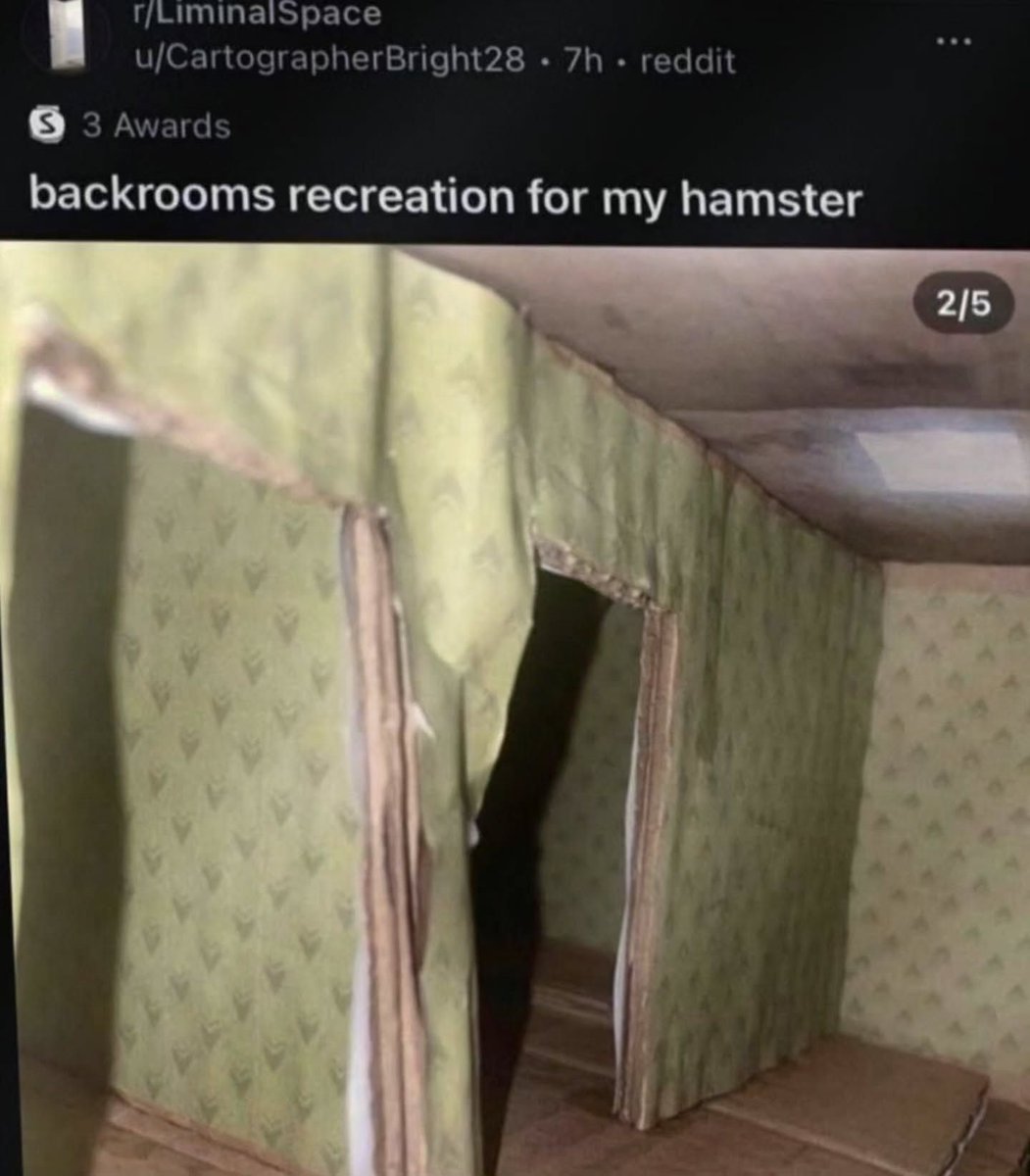 nocontextmemes's tweet photo. https://t.co/Ig4rBxQgti