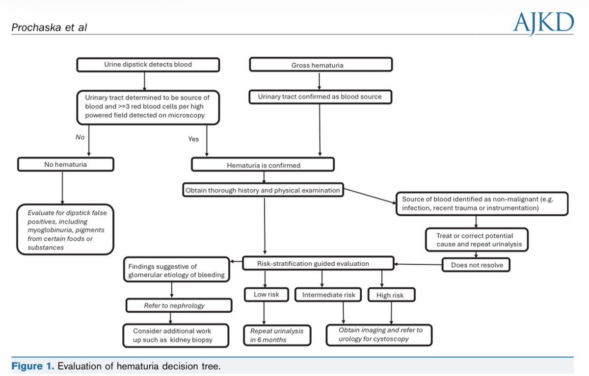JonathanNefro's tweet photo. El abordaje de la hematuria🩸 macro y microscópica siempre será divertido y entretenido para el nefrólogo, en la nueva versión del Core Curriculum sugieren un abordaje acorde a la evidencia más reciente

AJKD 2026
10.1053/j.ajkd.2026.05.013 https://t.co/FdmLa2t8eN