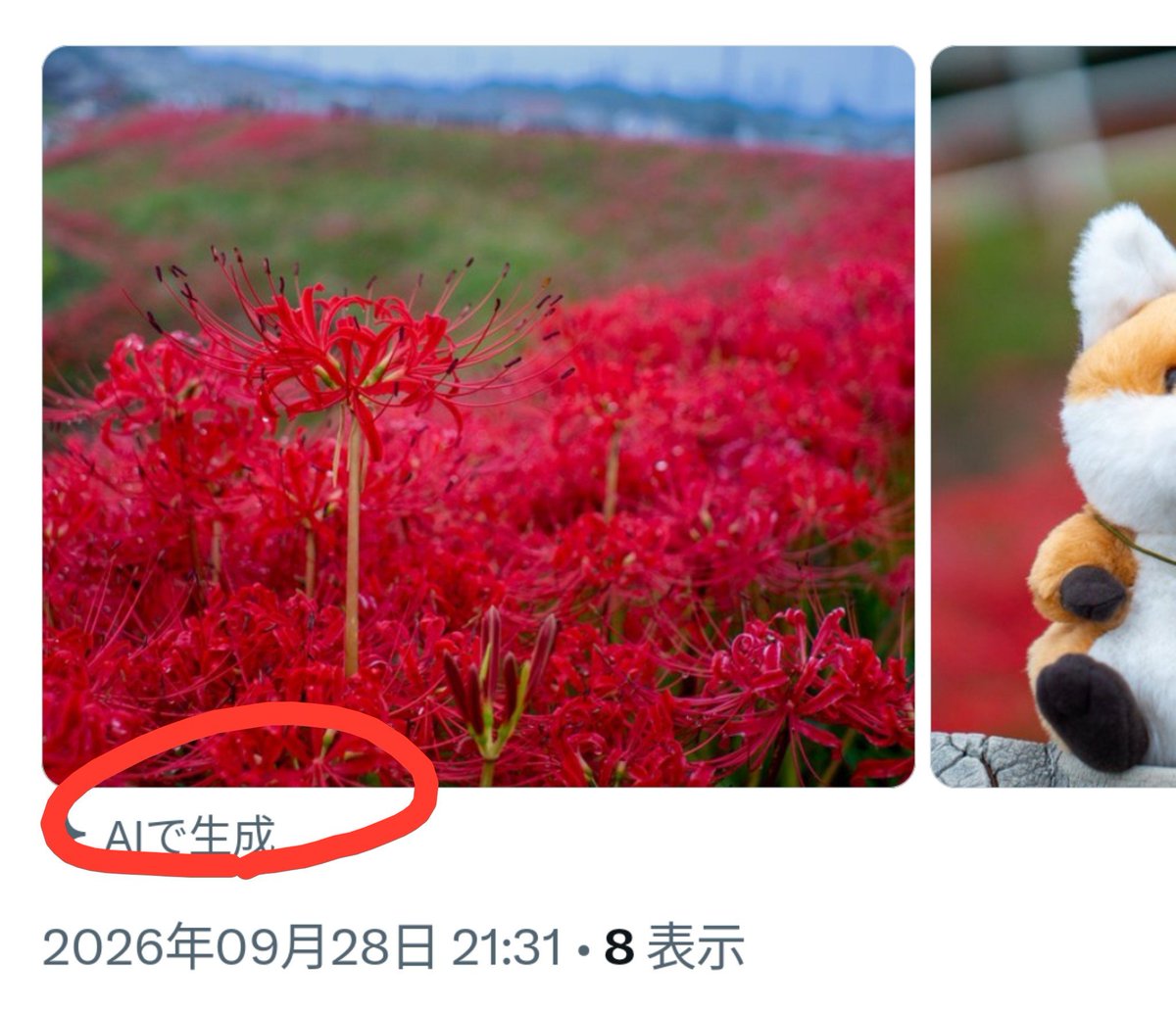 wanwanwanto's tweet photo. AI使ってないのにこのラベル付くの謎だし嫌すぎる😭 https://t.co/VVnLY6LOCB