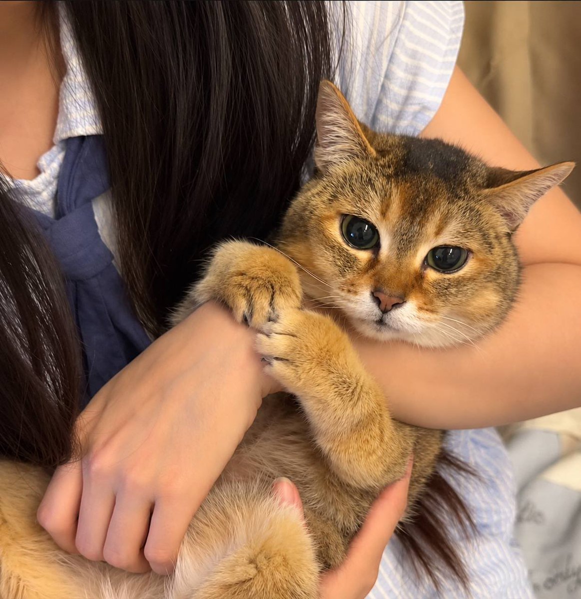 meimei__sol's tweet photo. https://t.co/G4ejdMlvxU