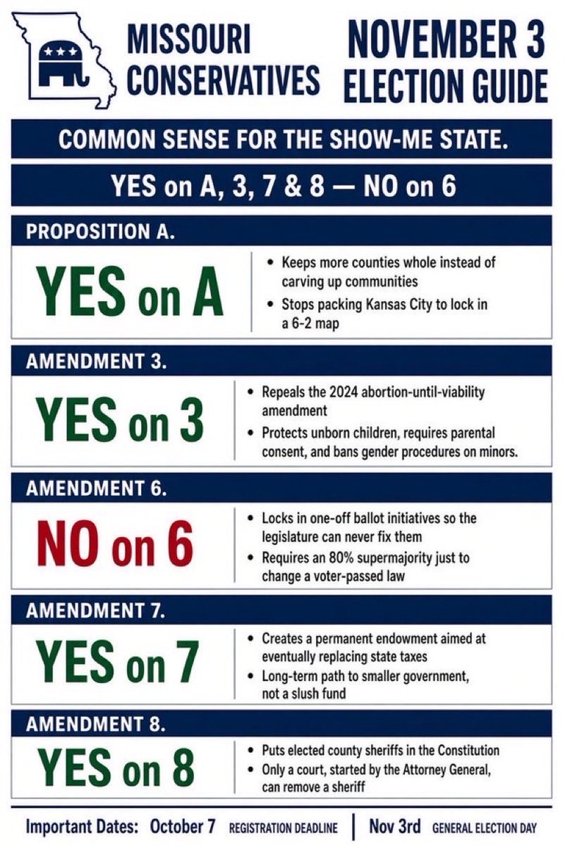 SpeakerTimJones's tweet photo. VOTE NO ON MISSOURI AMENDMENT 6!
#MOGov #MOLeg https://t.co/MEHkCkhiqs