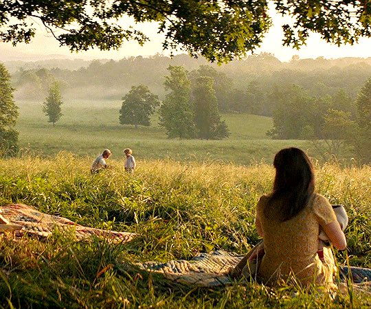 THGPrblms's tweet photo. “What I need is the dandelion in the spring. The bright yellow that means rebirth instead of destruction. The promise that life can go on, no matter how bad our losses. That it can be good again. And only Peeta can give me that.” https://t.co/rt0NH42htd