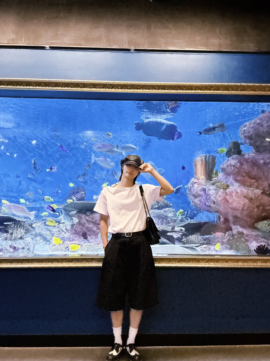 sengahw's tweet photo. 박떵화 모 동숲에 얼마나 진심이냐면 아쿠아리움이랑 콜라보 햇을때 실버니 데리고 혼자 가서 사진 와방방 찍고 오신 분임… 심지어 전신샷 벽에 핸드폰 두고 찍으신거…. https://t.co/VuRPJURAye