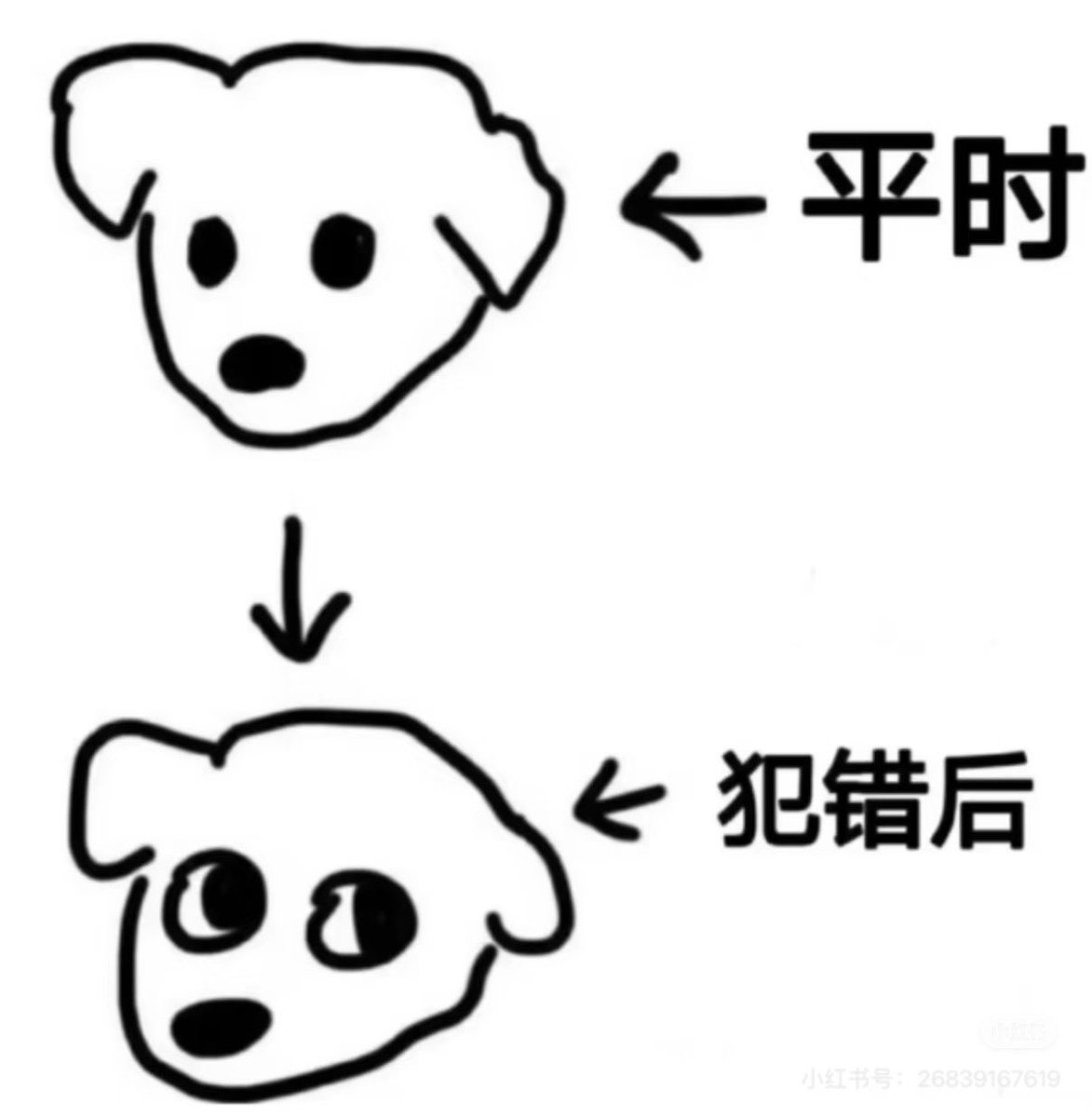 EphemeralB92641's tweet photo. 小狗猫之目光 https://t.co/0EOxUTFxkn