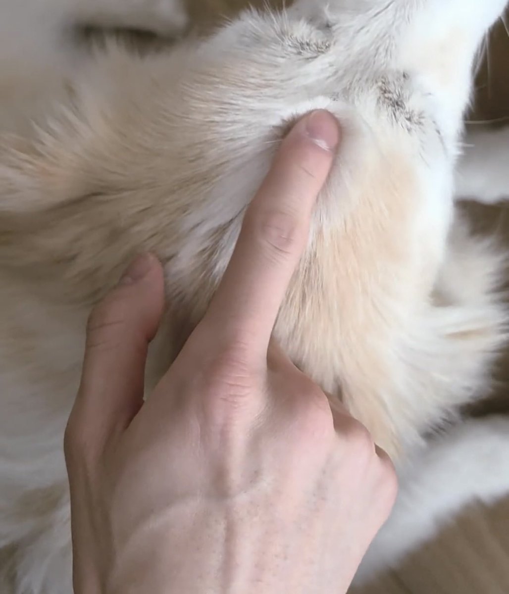 gothikeu's tweet photo. jake has the most beautiful hands ever https://t.co/Z8p61okSTT