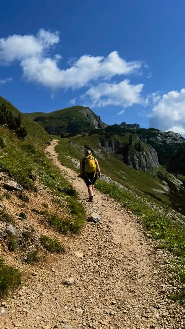 Summer207097's tweet photo. Marmeladenglasmoment 🫶🏼

 #rofangebirge #pertisau #bergverliebt #austria #travel #instatravel #fly #airrofan #instagood #instagram #hiking #wandern #wanderwoman #hikinggirl #mountains #berge #wanderlust #nature #landscape #landscape_lovers https://t.co/DkFsN8zMAR