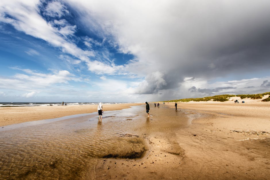 RaymondBen8ws's tweet photo. لدعمني شكرا نتيجة التي دائما يا أخي. النجاح هو جهودك لا هوادة فيها. lena moneaux https://t.co/Nzyzxzj7lW