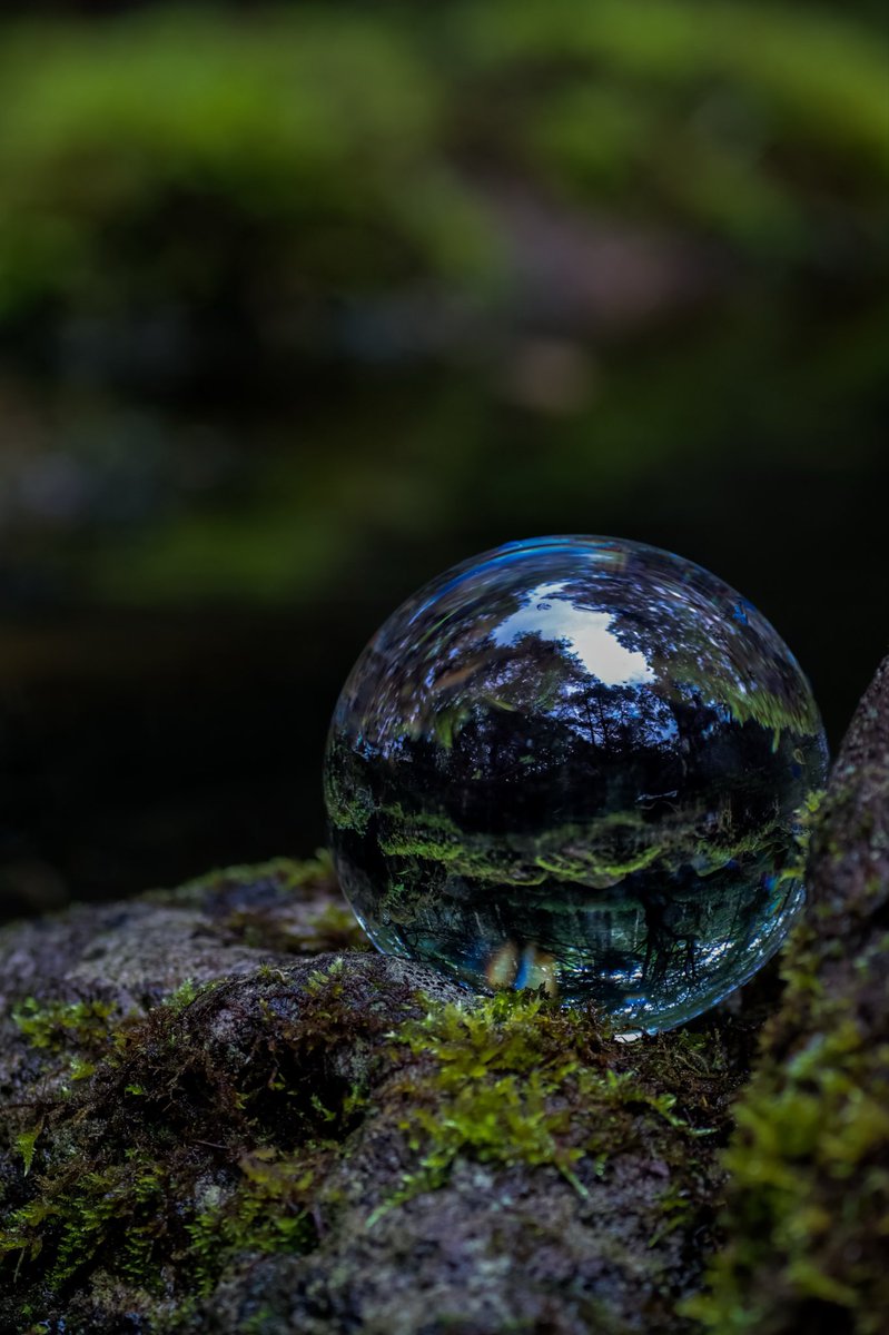 oyasu_mi9's tweet photo. 森の奥
     そのさらに奥にある
                  もっと小さな森🌳

苔の上に水晶を置いたら
目の前の森がまるごと
小さな世界になっていました🔮

少し暗くて、静かで
秘密基地みたいな場所

入ってみたい？
それとも少し怖い？🤭🌿

photo by 素直

 #キヤノン党でほめあいたい 
 #写真 
 #カメラ https://t.co/8fYBjZLvUN