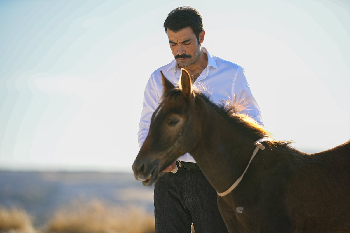 sevdanbiratestv's tweet photo. Mirza’nın kabusu gerçeğe mi dönüşecek?❤️‍🔥
#SevdanBirAteş yeni bölümüyle her Çarşamba 20.00’de Show TV’de!
@ShowTV @cnpfilmresmi https://t.co/9AN8vDiAaB