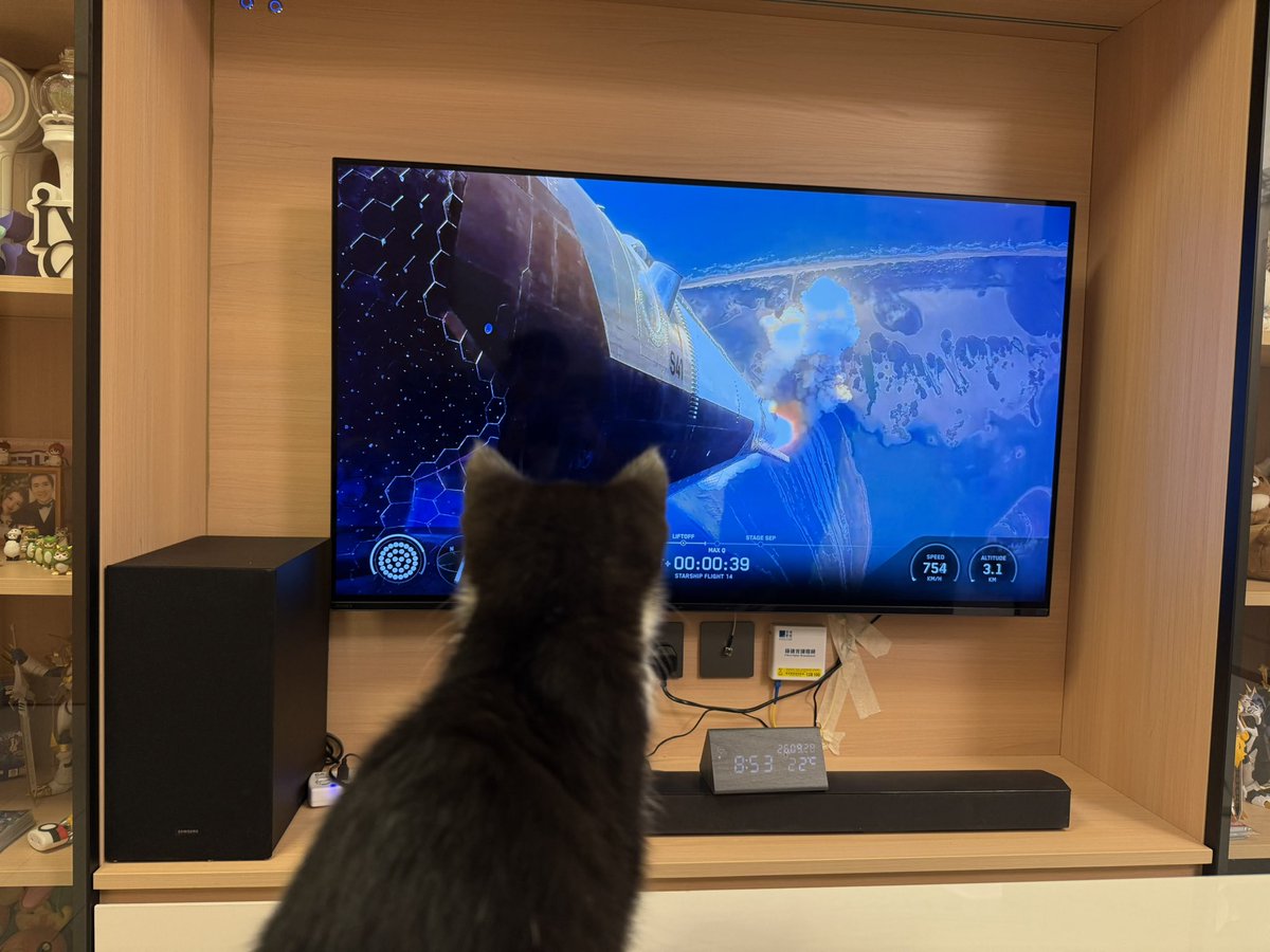 JohnLamhk's tweet photo. My cat is locked in on Starship Flight 14 like it’s the Super Bowl 🚀🐱
#Starship #SpaceX #StarshipFlight14 #CatsOfX #RocketLaunch #SpaceCat https://t.co/WXziR8Km3s