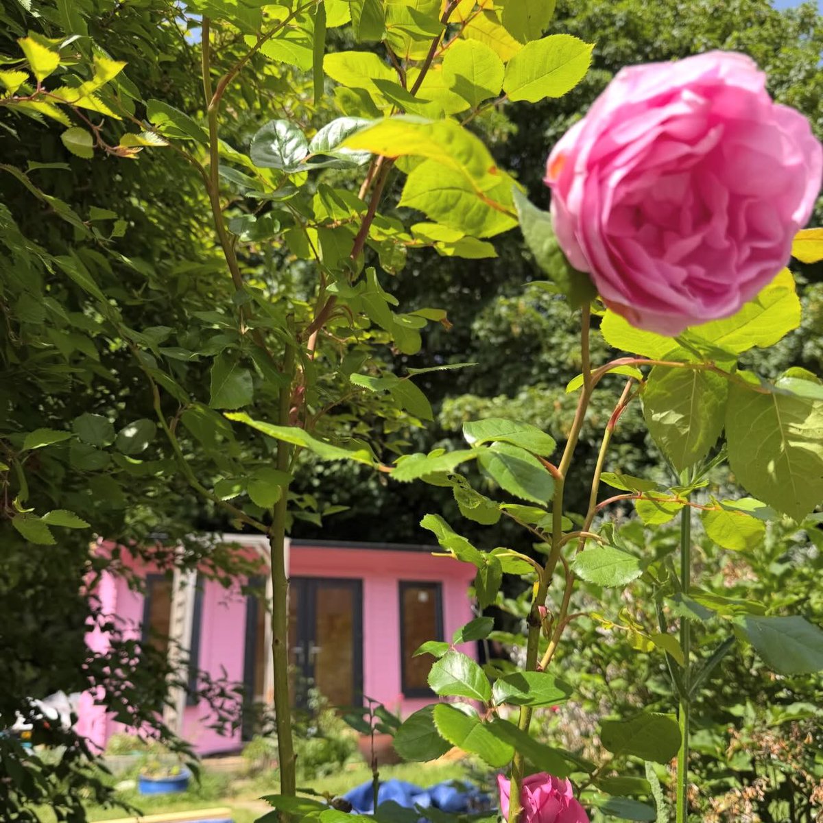noahjohnsonmgu7's tweet photo. Hey Faffers, @_athomewithnat here announcing @fromrentaltorainbow as tonight’s Saturday winner. Just look at that pink office! Congrats, Emma—you’re on the grid xx

To be featured, tag @faffulous_homes in all your posts and follow the gang. https://t.co/1EGWQrwPf8