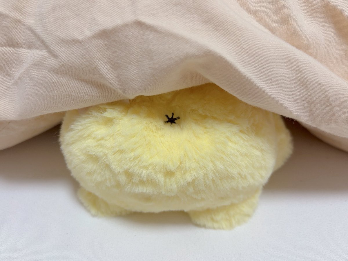 kawaii_pick's tweet photo. 頭隠して尻隠さず https://t.co/oNI2Ie2vRL