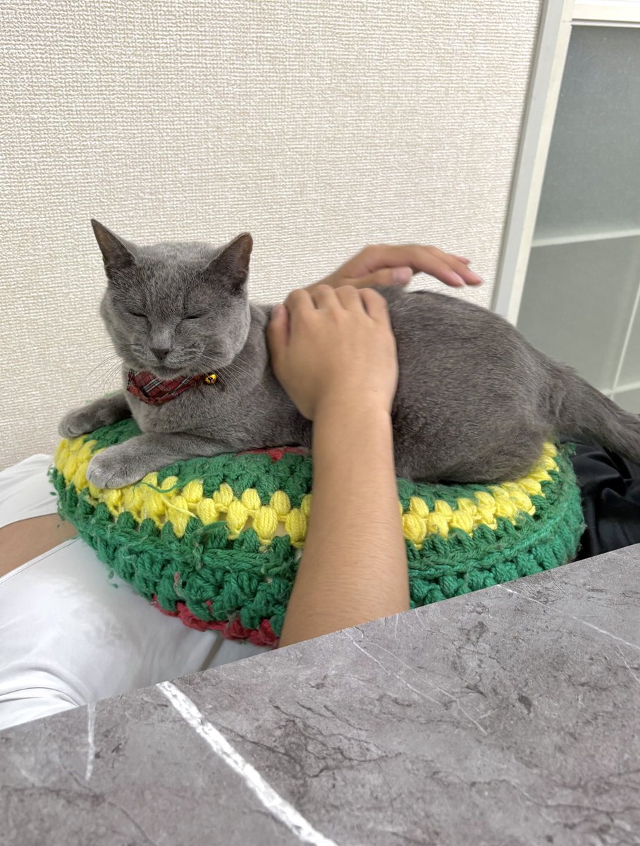 vAOS22RiMgBiMej's tweet photo. 変な感じで撫でられてるけど…悪くない☺️

#猫のいる暮らし　#猫のいる幸せ
#猫かわいいね https://t.co/6wjZXTXHe2