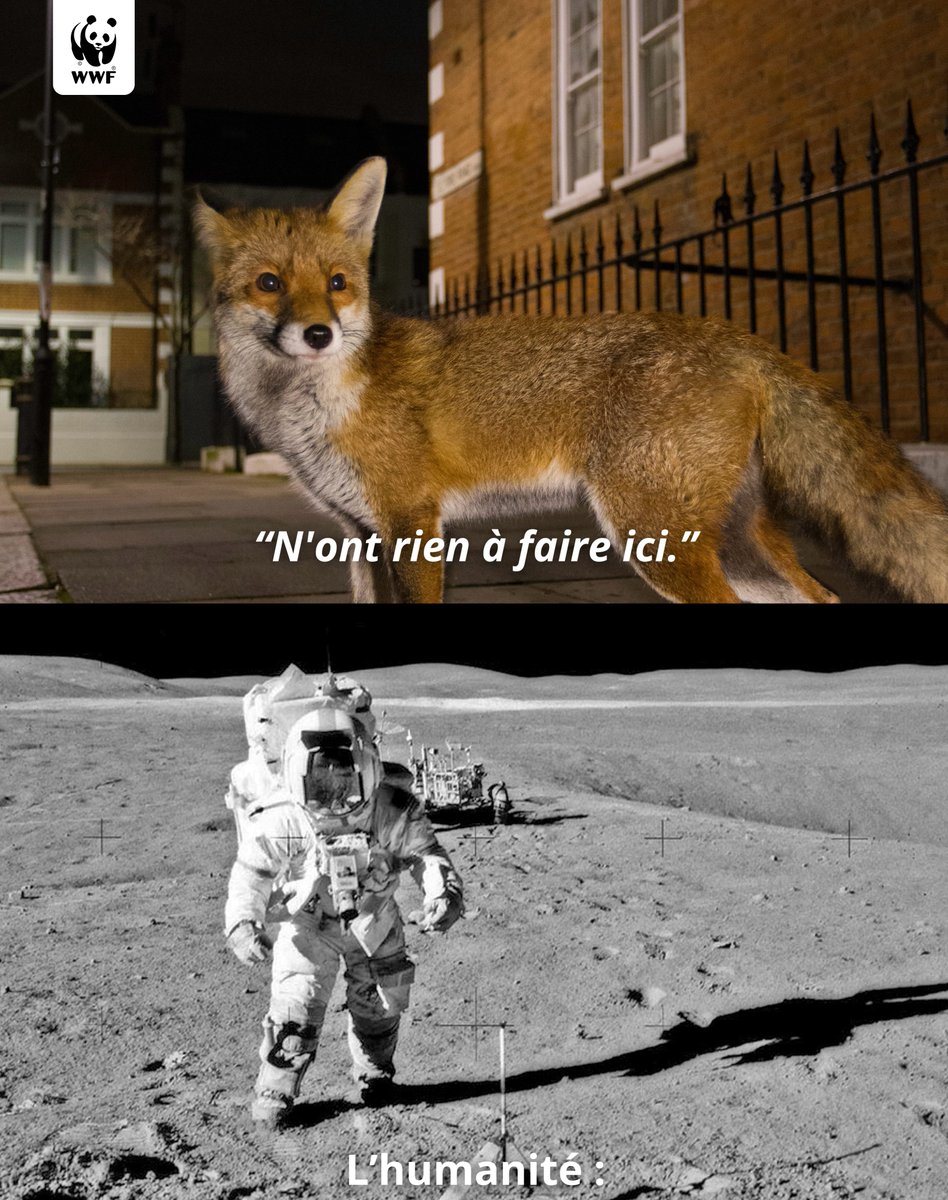 creapills's tweet photo. Le @WWFFrance a parlé. Et ça remet les idées en place. 🌍 https://t.co/JnR37ucuTx