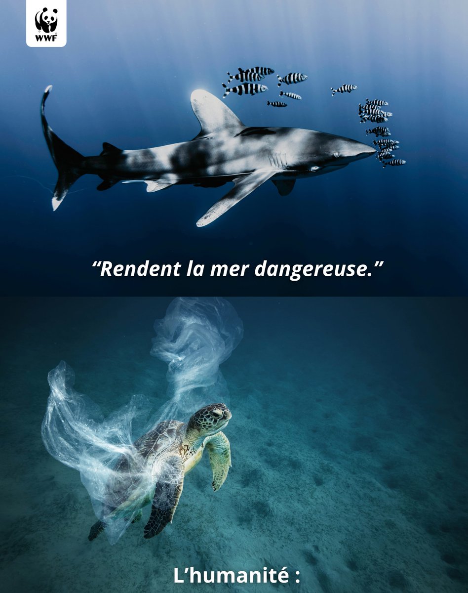 creapills's tweet photo. Le @WWFFrance a parlé. Et ça remet les idées en place. 🌍 https://t.co/JnR37ucuTx