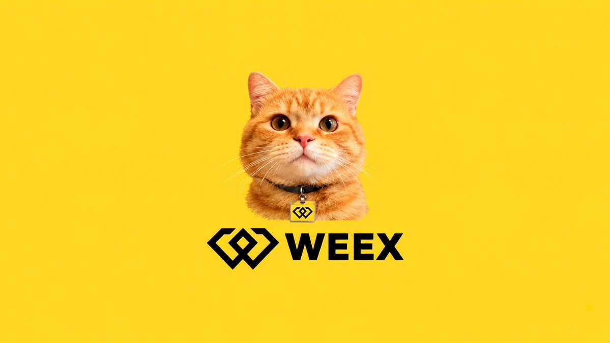 weexcat's tweet photo. THE WAIT IS OVER 🐱

$WEEXCAT is launching in hours🚨

The countdown is already on my bio!

Get ready for the first cat on WEEX. 

Something big is about to land. 🐾

#WEEXCAT @WEEX_Official https://t.co/BRtY9D6tUo