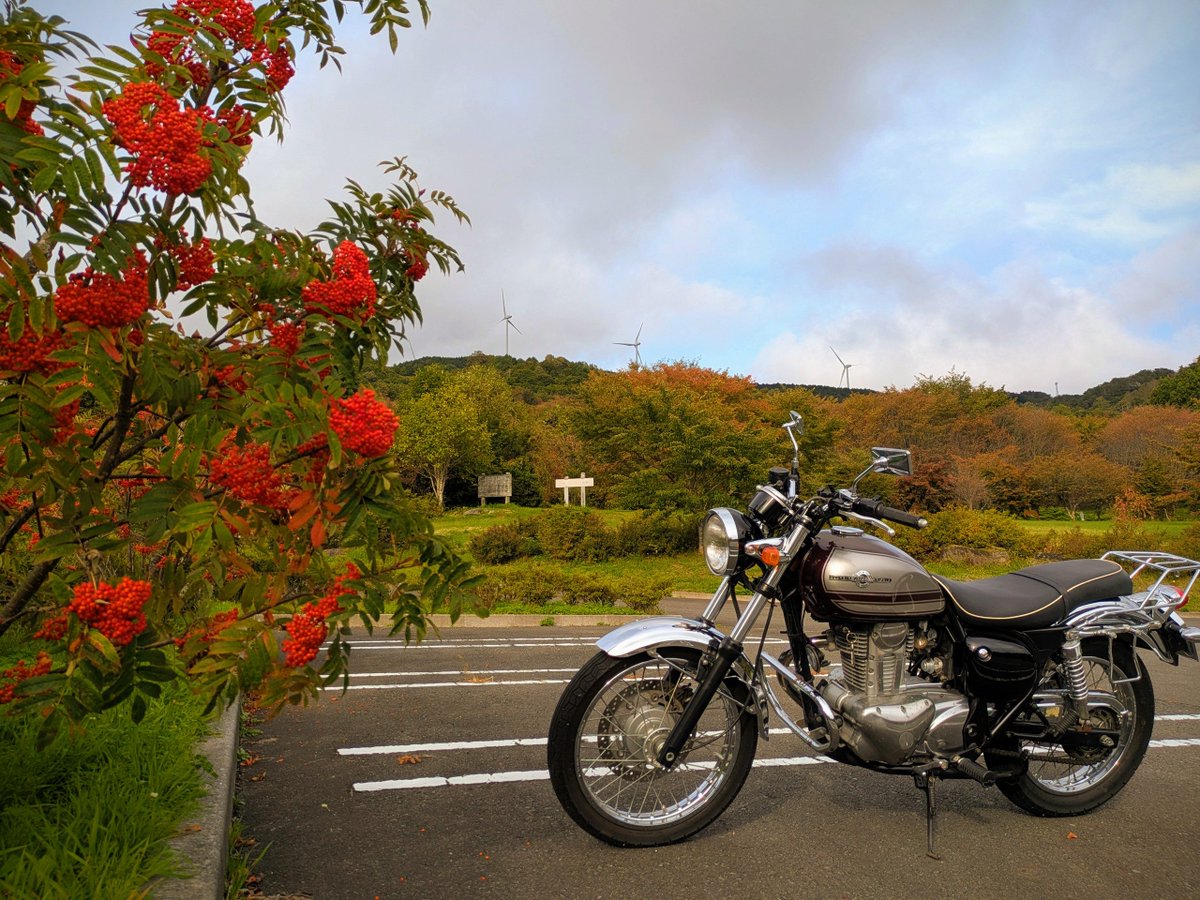 loooo_ruth's tweet photo. ﾌﾟﾆｬ https://t.co/5gGZv0ltDQ