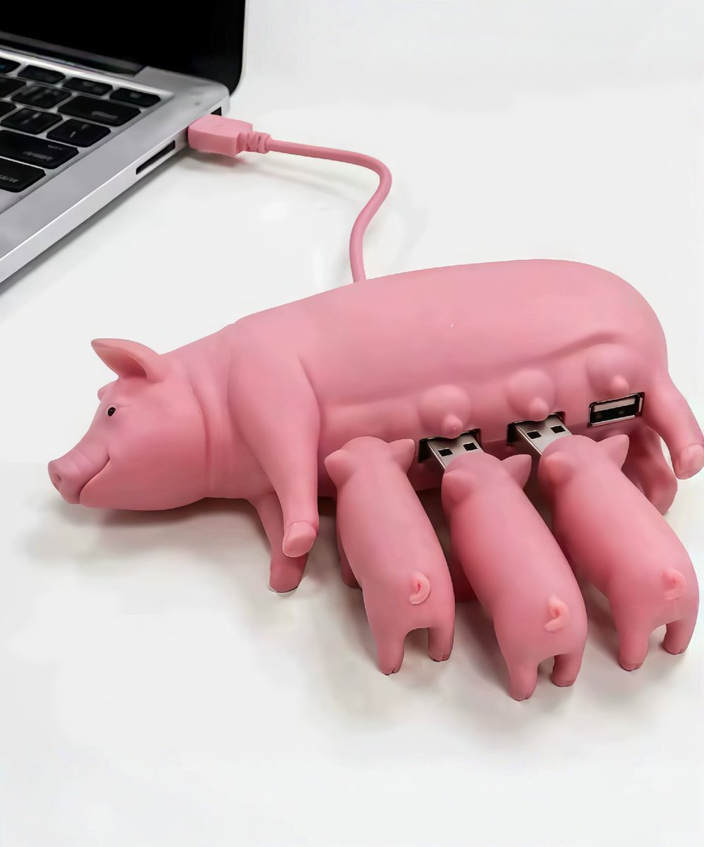 vlailuds's tweet photo. HELP... USB HUB BENTUK BABI INI LUCU BANGET WEH 😭 🐖 https://t.co/TnTBvoDpf1