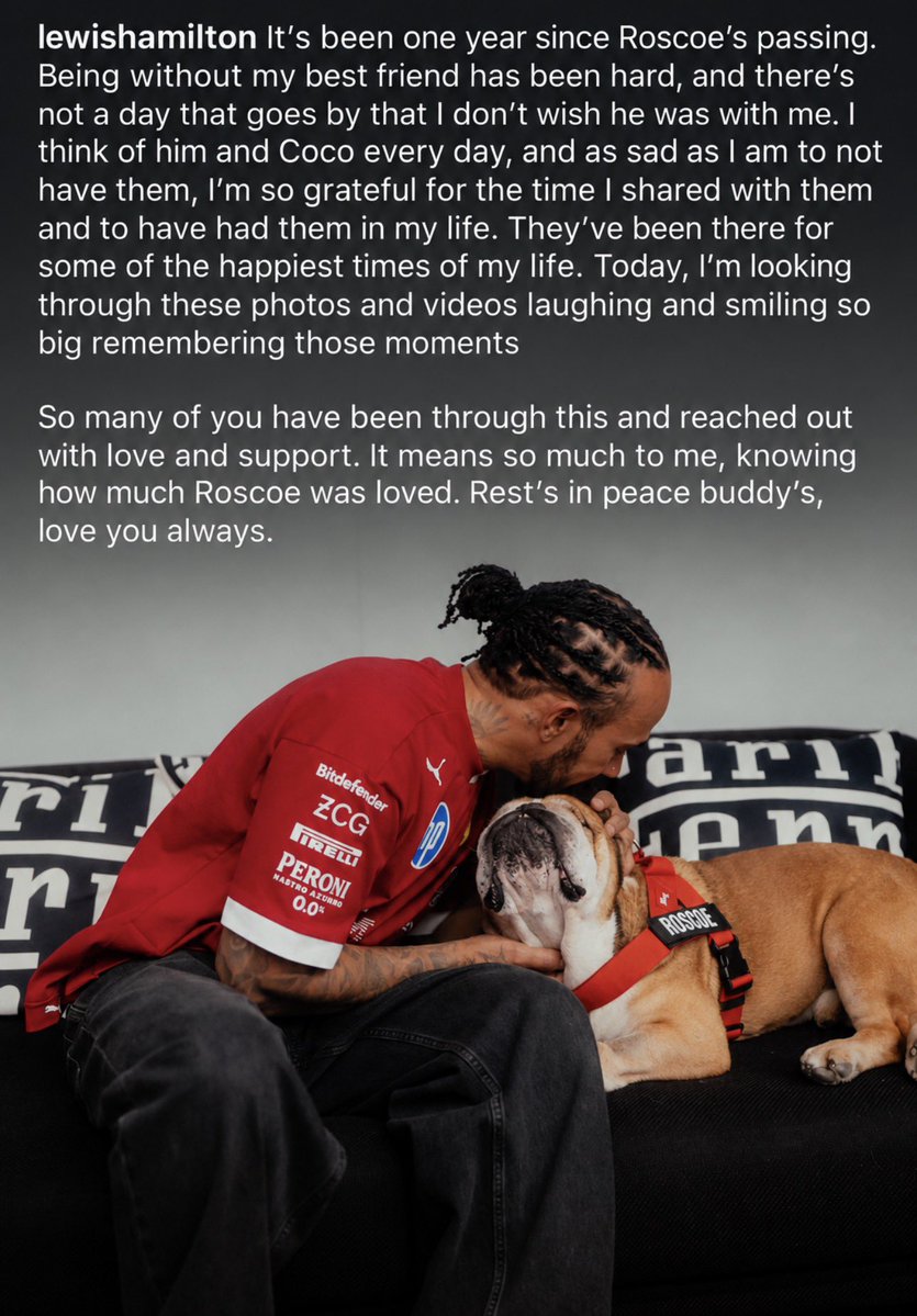 evrythngformu1a's tweet photo. Lewis Hamilton shares an emotional tribute to Roscoe on the one-year anniversary of his passing 💔

“Being without my best friend has been hard, and there’s not a day that goes by that I don’t wish he was with me.” https://t.co/j8dEeOJqCG